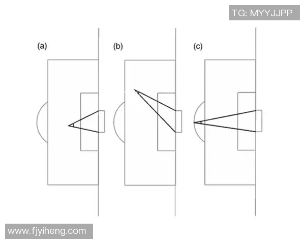 足球巨星精准射门技巧揭秘 球场上的神奇进球背后是怎样的精准计算